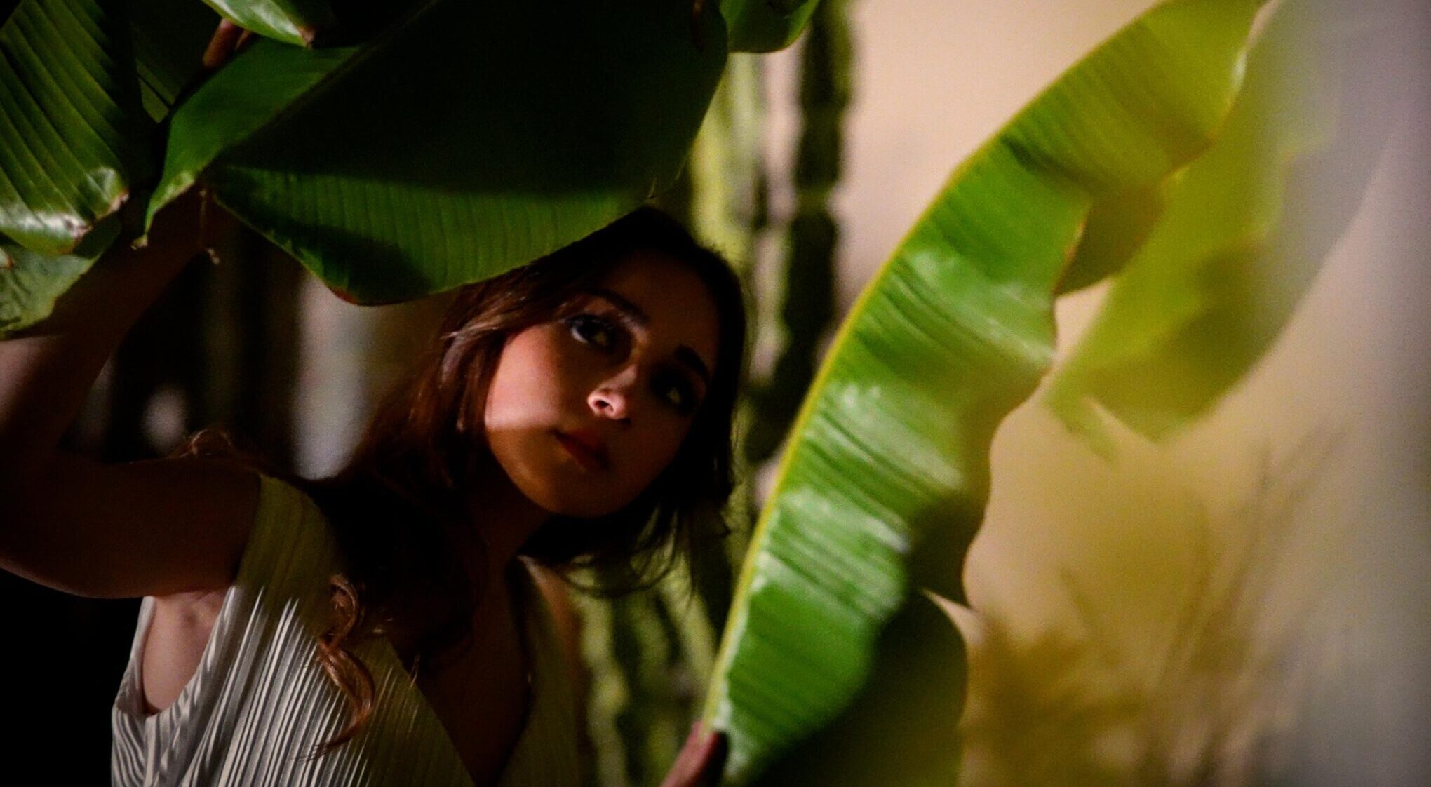 La danza di Leucippe (V.5)